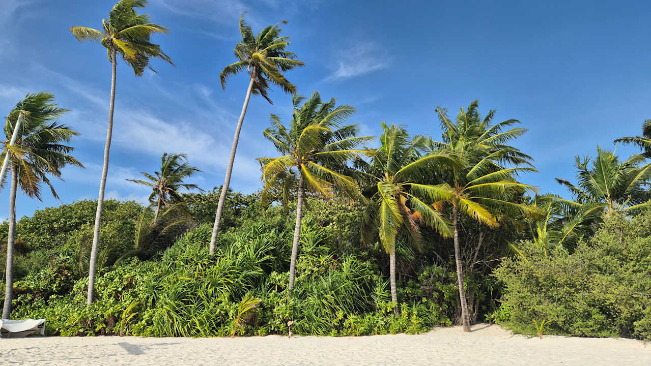 Gartenanlage Dreamland The Unique Sea & Lake Resort / Spa