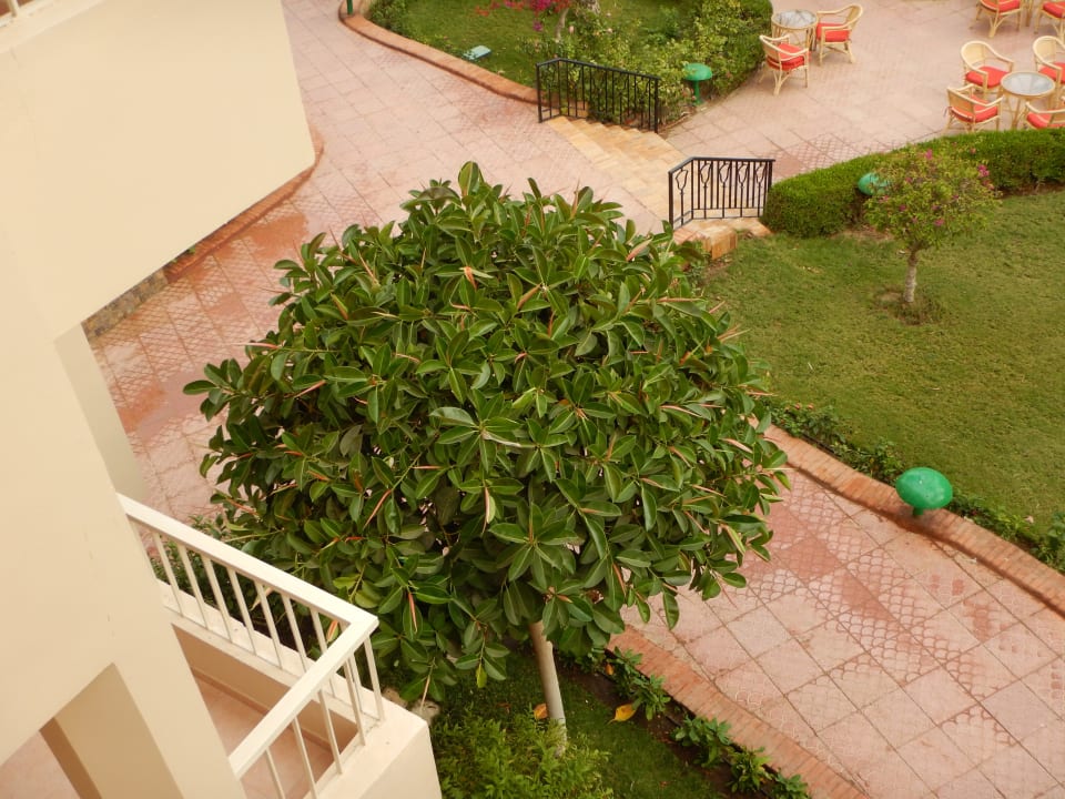 Gartenanlage Sea Star Beau Rivage
