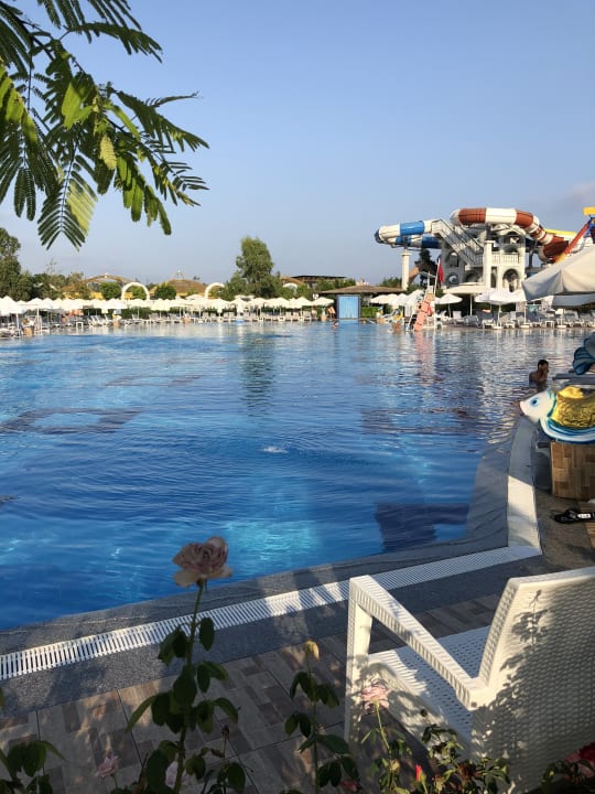 Pool Hotel Delphin Imperial