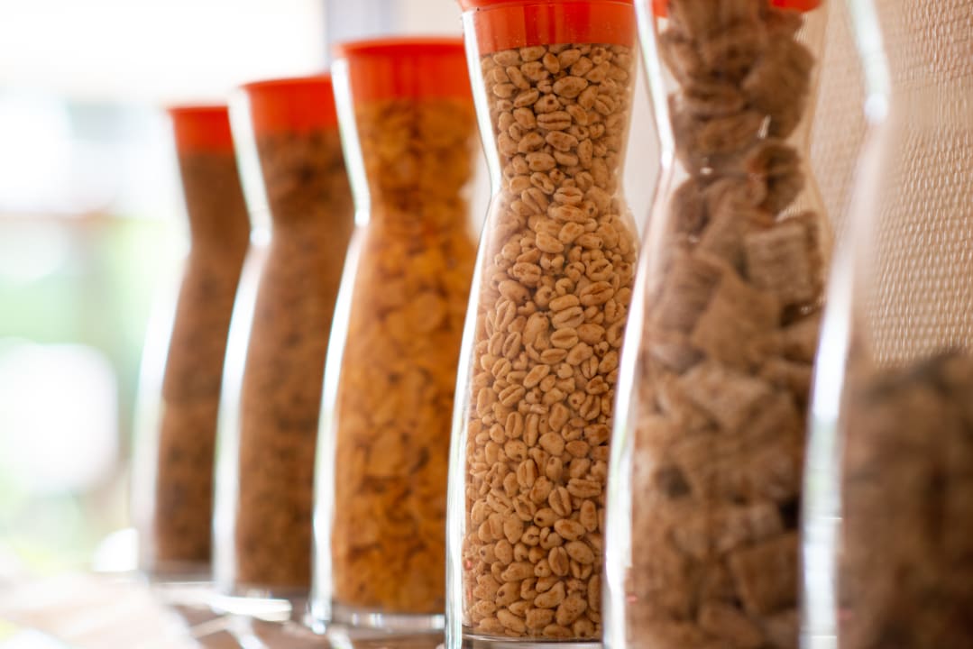 Gastro Hotel Haus am Zoo