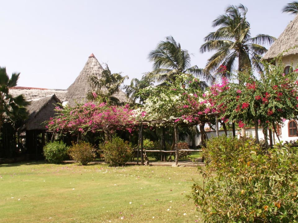 Ogród Neptune Village Beach Resort & Spa