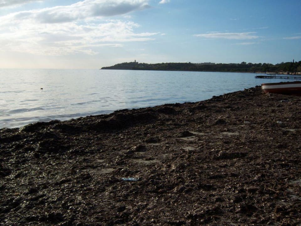 Der saubere Strand Arora Hotel