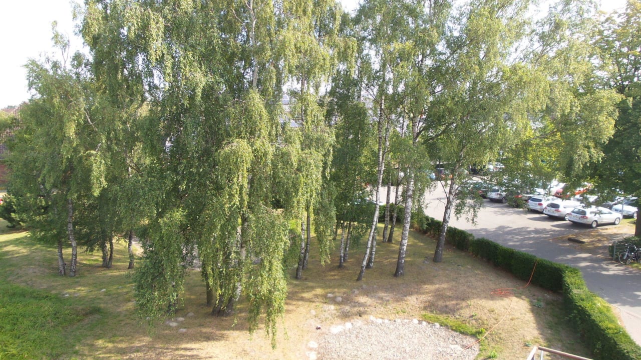 Ausblick vom Schlafzimmer Hotel Vier Jahreszeiten Zingst