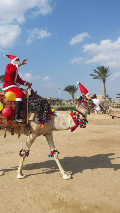 Nikolaus Three Corners Equinox Beach Resort