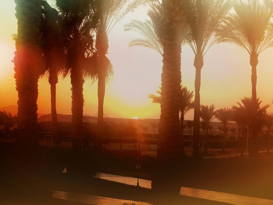 Gartenanlage Jaz Solaya