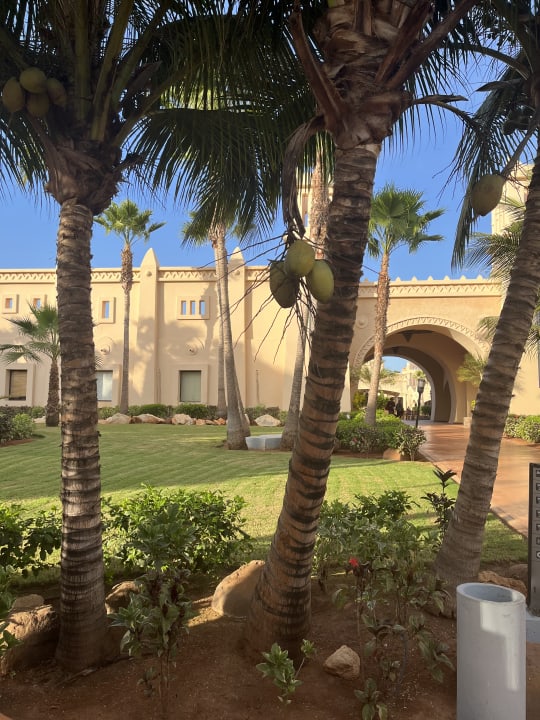 Gartenanlage Hotel Riu Touareg