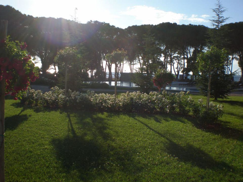 Pool am Abend Falkensteiner Hotel Adriana