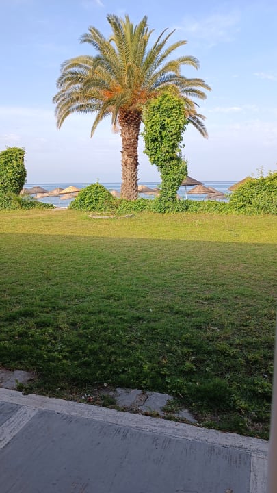 Gartenanlage Dogan Paradise Beach