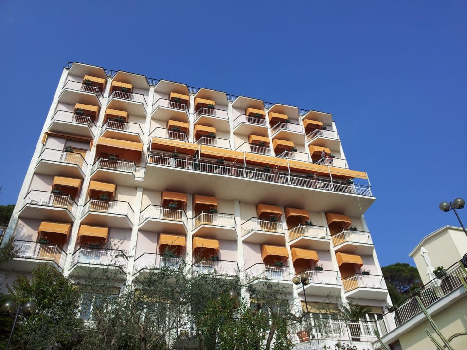 Hotel Mediterraneo Hotel Mediterraneo