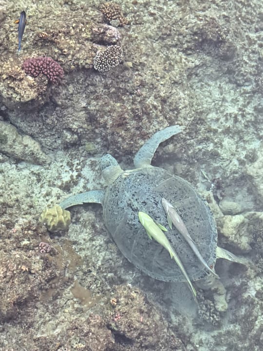 Sonstiges Casa Mare Resort