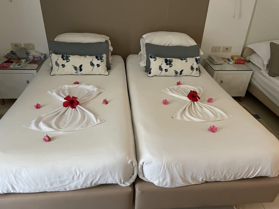 Zimmer TUI MAGIC LIFE Penelope Beach