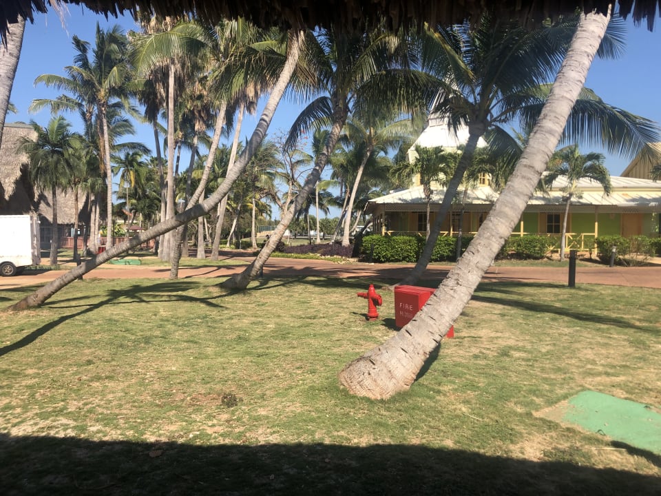 Gartenanlage Sirenis Tropical Varadero