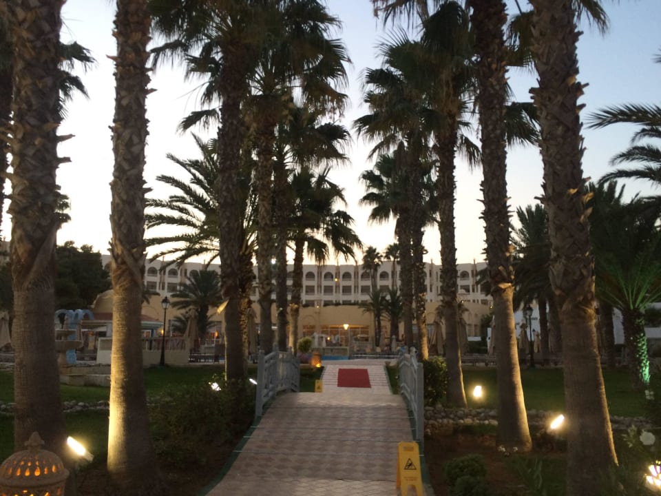 Palmen Steigenberger Marhaba Thalasso Hammamet