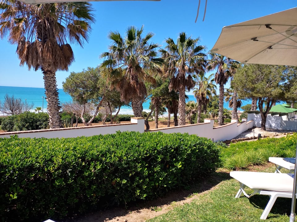 Gartenanlage Fuerte Conil-Resort