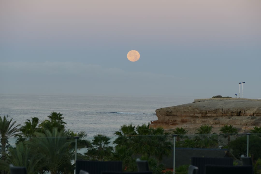 Ausblick Hotel Riu Palace Tenerife