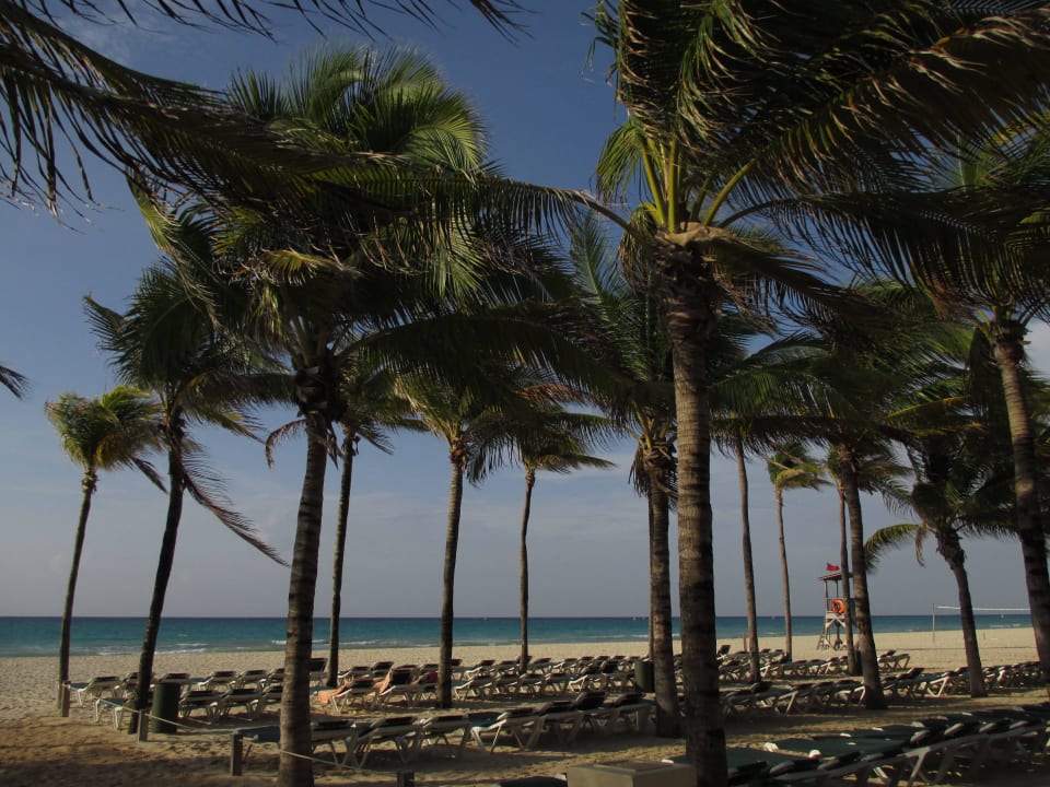 Der Hotel Strand  Hotel Riu Tequila