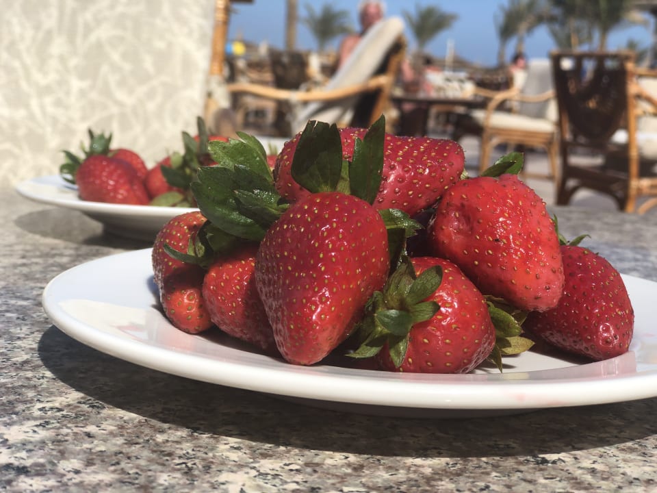 Gastro Beach Albatros Resort