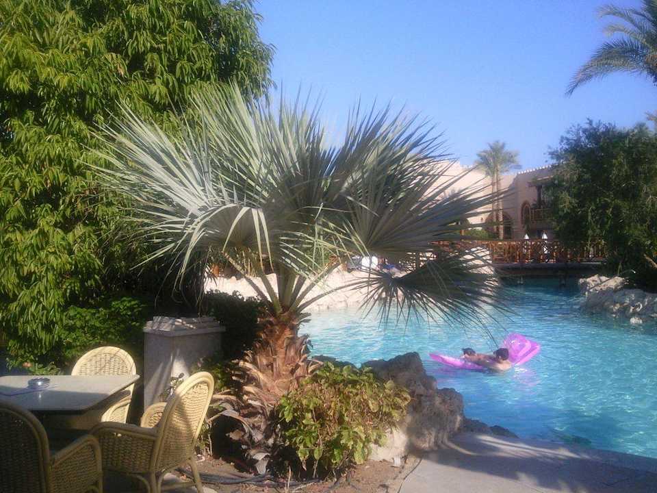 Pool Ghazala Gardens