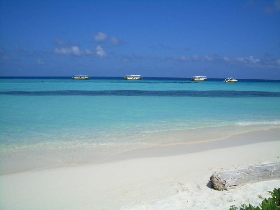 Strand Summer Island Maldives