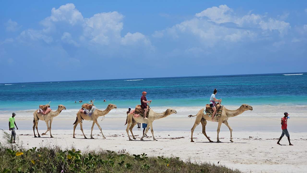 Strand Hotel Diani Sea Lodge