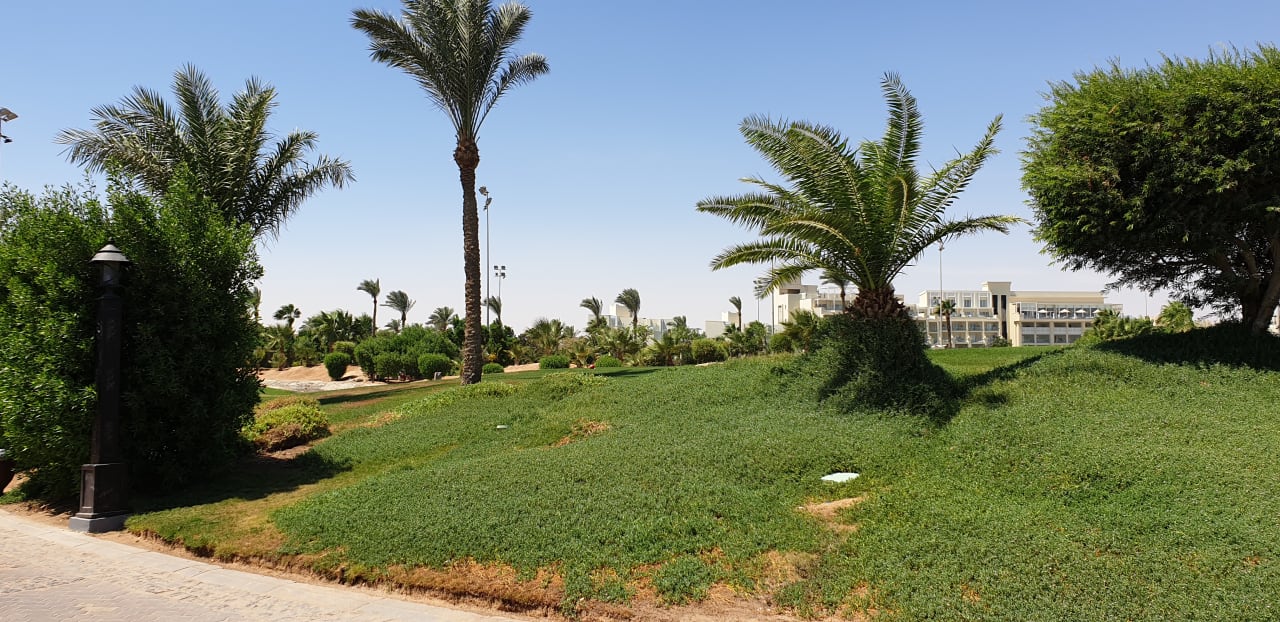 Garten Steigenberger Aqua Magic