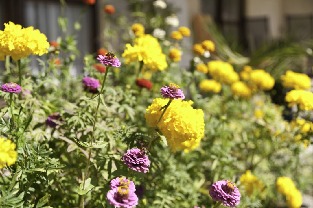Sonstiges Ferienwohnung Völkl