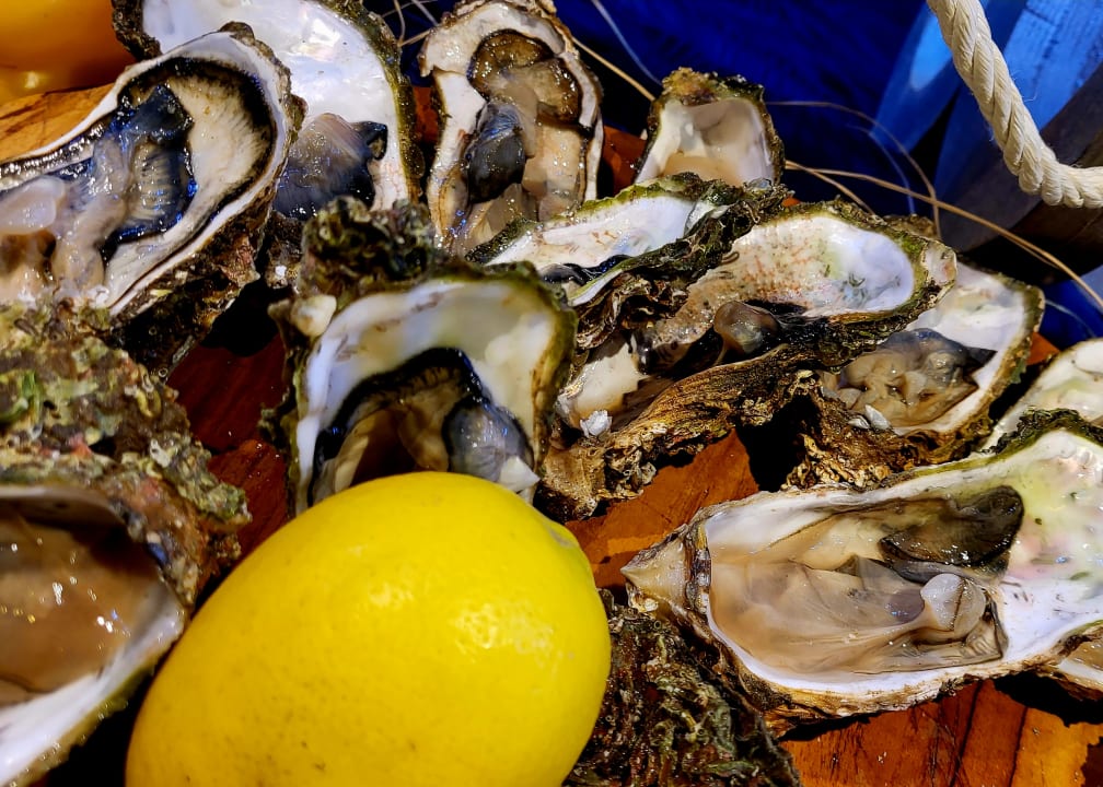Gastro Hotel Delphin Imperial