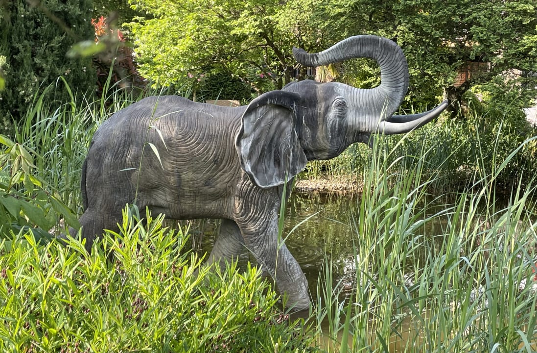Gartenanlage Hotel Restaurant Rebstock Durbach
