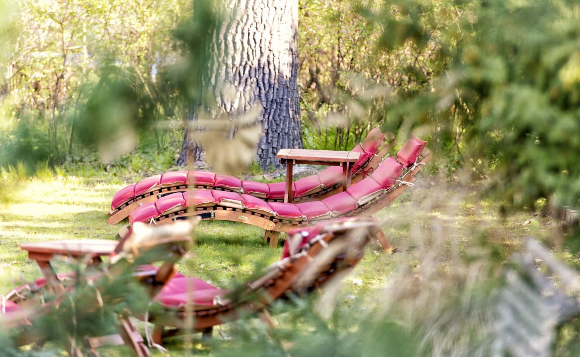 Gartenanlage Hotel Potsdam am Katharinenholz