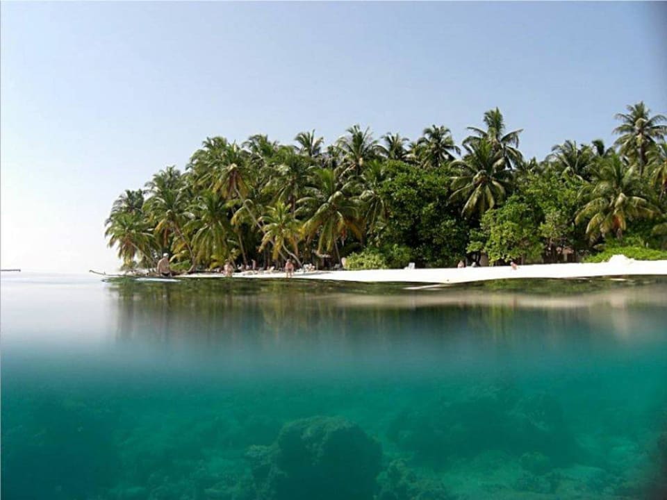 Über- und Unterwasser Fihalhohi Maldives
