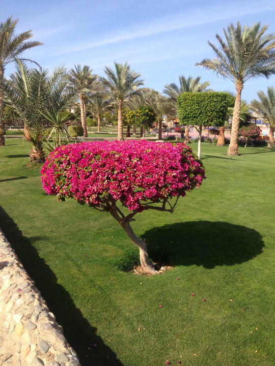 Garten Three Corners Sea Beach Resort