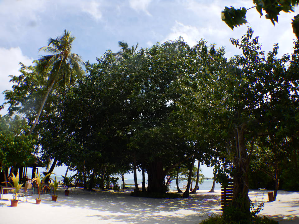 Gartenanlage Vilamendhoo Island Resort & Spa