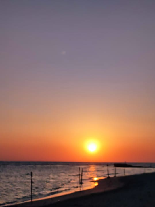 Strand Malikia Resort Abu Dabbab