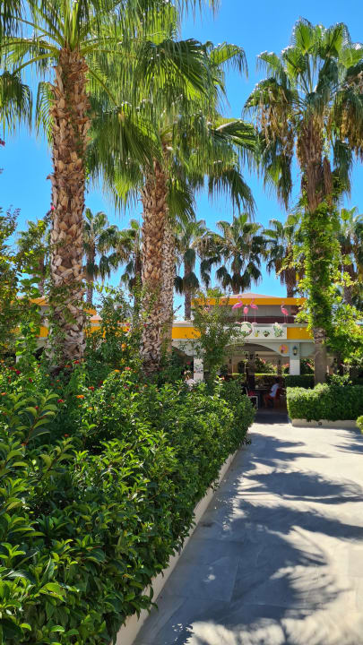 Gartenanlage Hane Family Resort