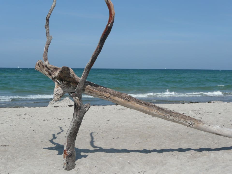 Weststrand  Hotel der Fischländer