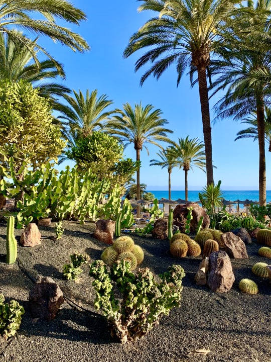 Garten SBH Costa Calma Beach Resort