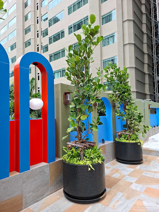 Pool Pipa Hotel Bangkok Sukhumvit 11