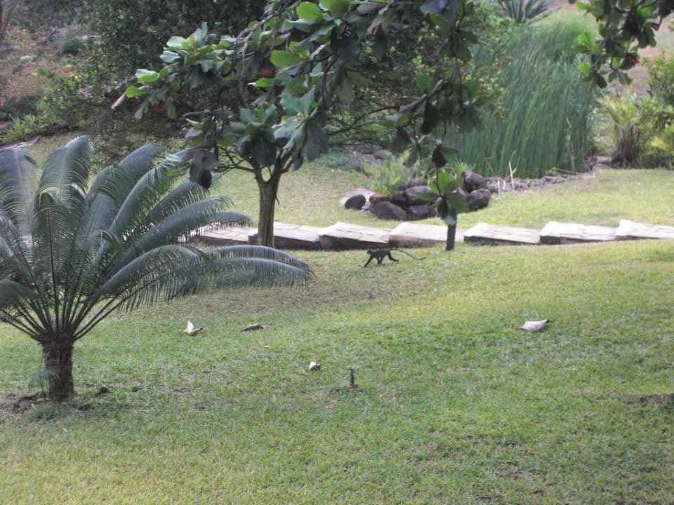 Gartenblick Hotel Papillon Lagoon Reef