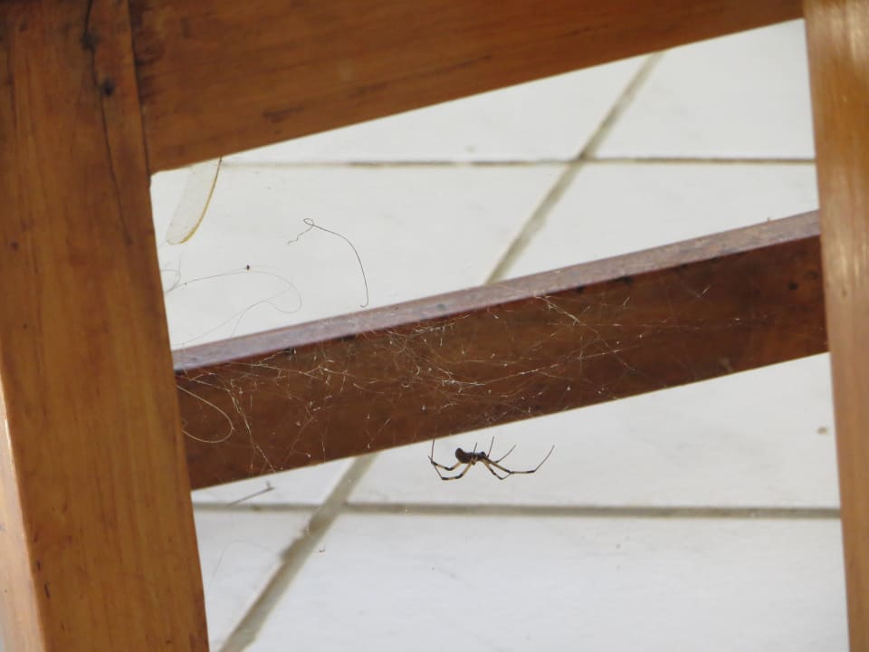 Hygiene im Speisesaal Hotel Diani Palm Resort