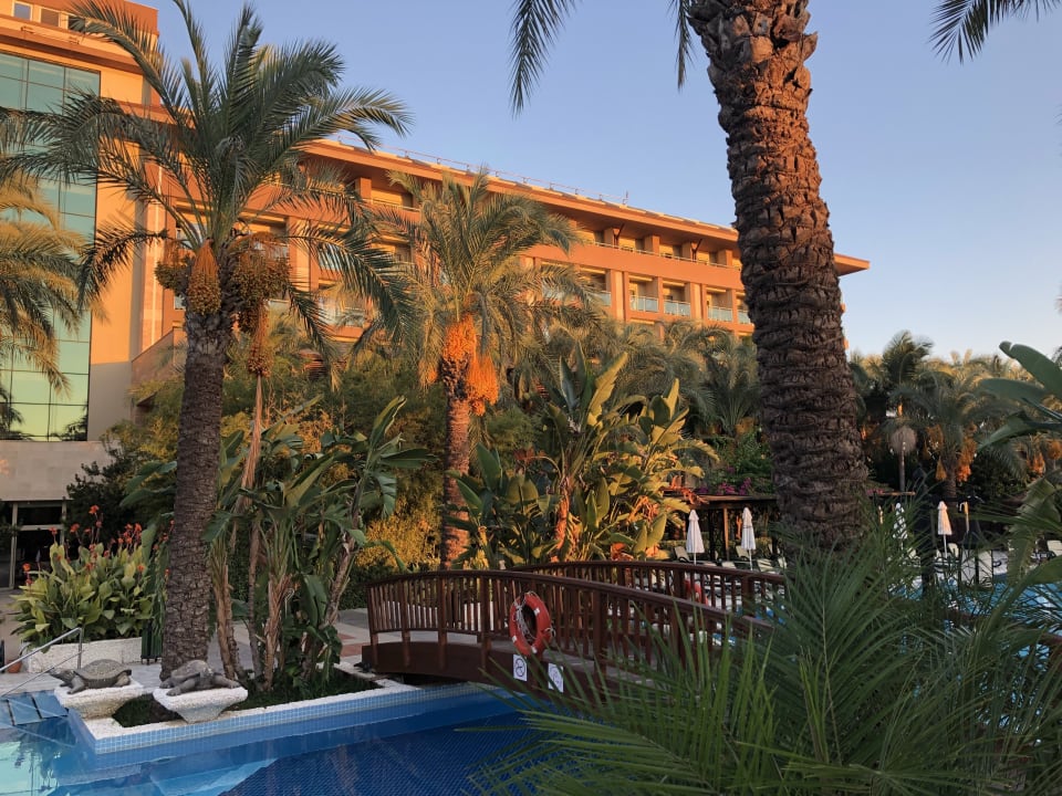 Pool Sunis Kumköy Beach Resort Hotel & Spa