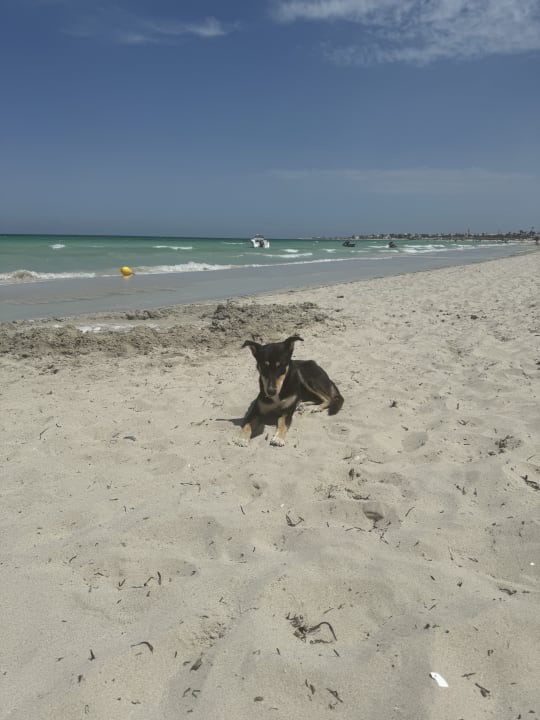 Strand Iberostar Waves Mehari Djerba