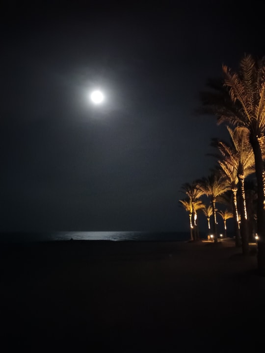 Strand Steigenberger Coraya Beach - Adults only