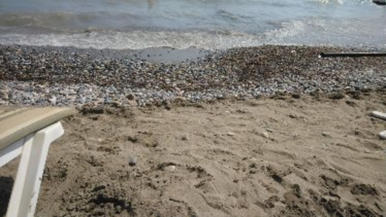 Strand Aydinbey Gold Dreams