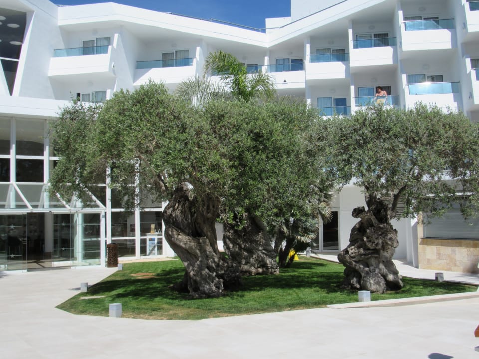 Gartenanlage Iberostar Waves Playa de Muro