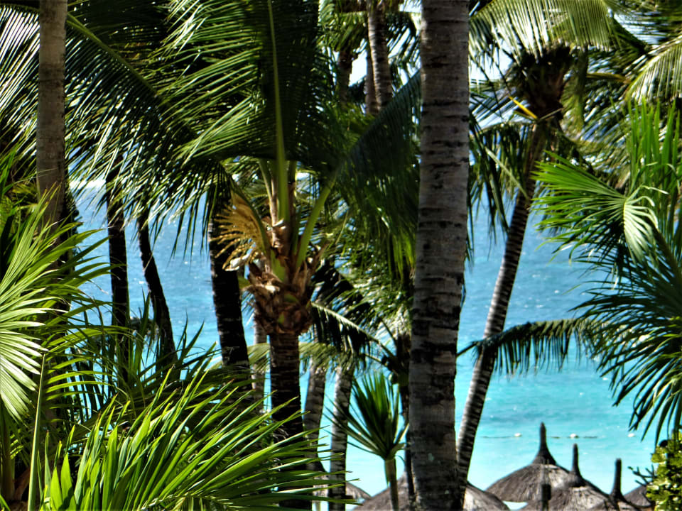Strand Veranda Palmar Beach Hotel