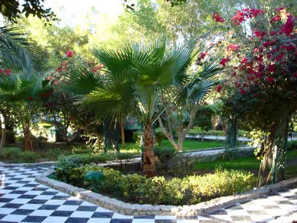 Die super gepflegte und tolle  Gartenanlage Giftun Azur Resort