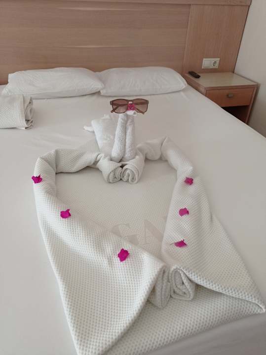 Zimmer Can Garden Resort