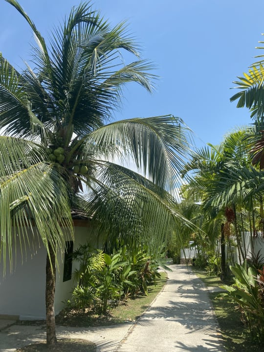 Außenansicht ROBINSON KHAO LAK