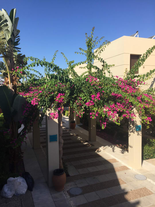 Gartenanlage Astir Odysseus Kos Resort & Spa