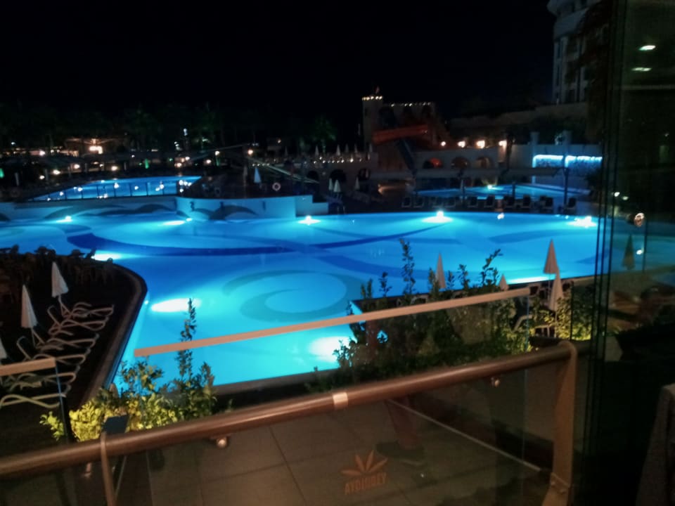Pool Aydinbey Kings Palace & Spa